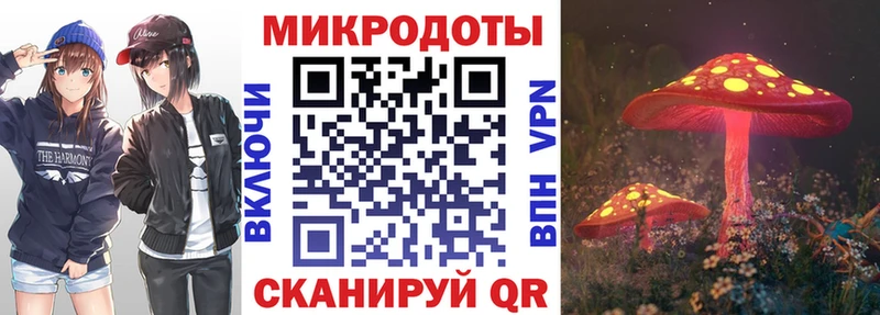 Купить закладки  Азов  Псилоцибиновые грибы MAGIC MUSHROOMS 